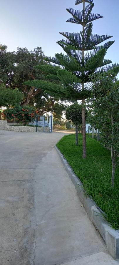 Monte Da Vinha Nova Βίλα Santiago do Cacém Εξωτερικό φωτογραφία